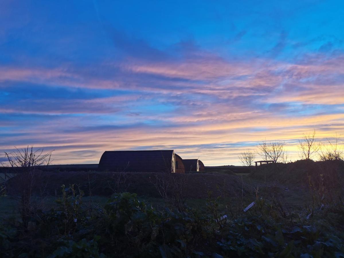 Glamping Pods Nr Port Isaac Villa Buitenkant foto